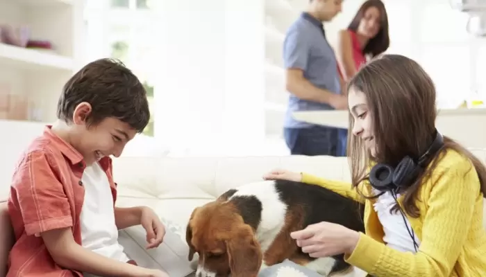 children playing with dog on sofa